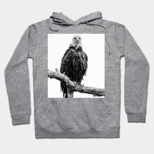 Grumpy Eagle Hoodie